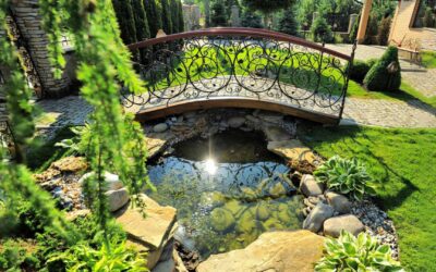 Important Things to Think About before Installing a Pond on Your Property