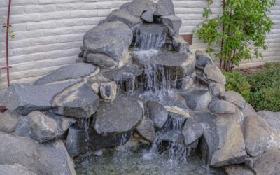 What kinds of supplies can I buy at my local pond retail store?