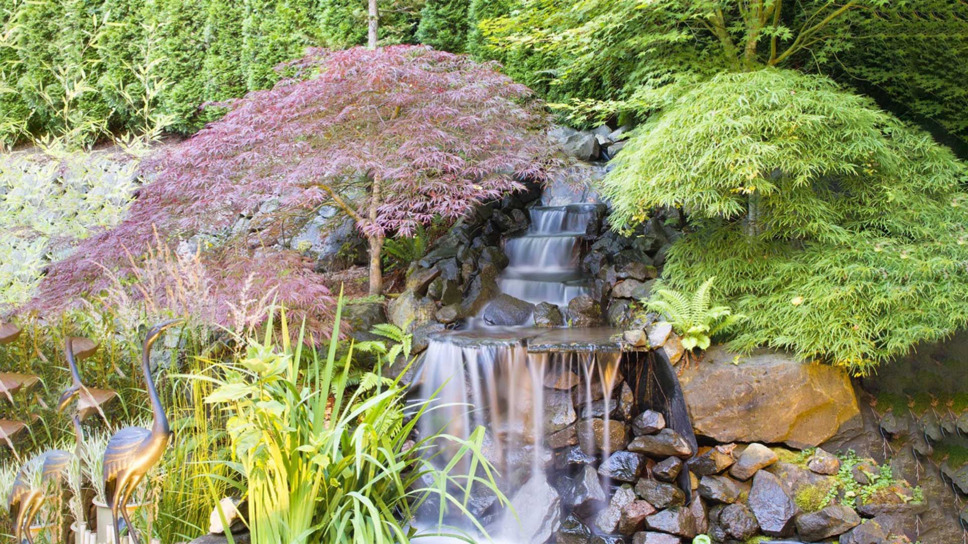 waterfall-with-plants-around-waterfall-pond-supply